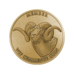 WSF Challenge Coins