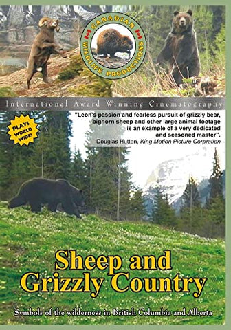 Sheep and Grizzly Country